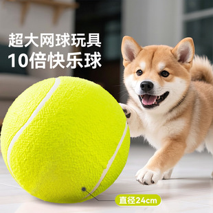 ���������Ӽһ������˽␞������С����Ȯ��ҧĥ���W�������