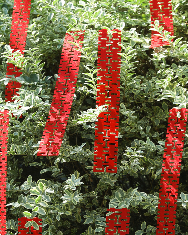 3e16b6f5-1308-4248-889c-bd83288f875d.jpe