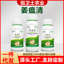 ����������ɳ������ș�����󽪲��������������������Ӹ�������ή