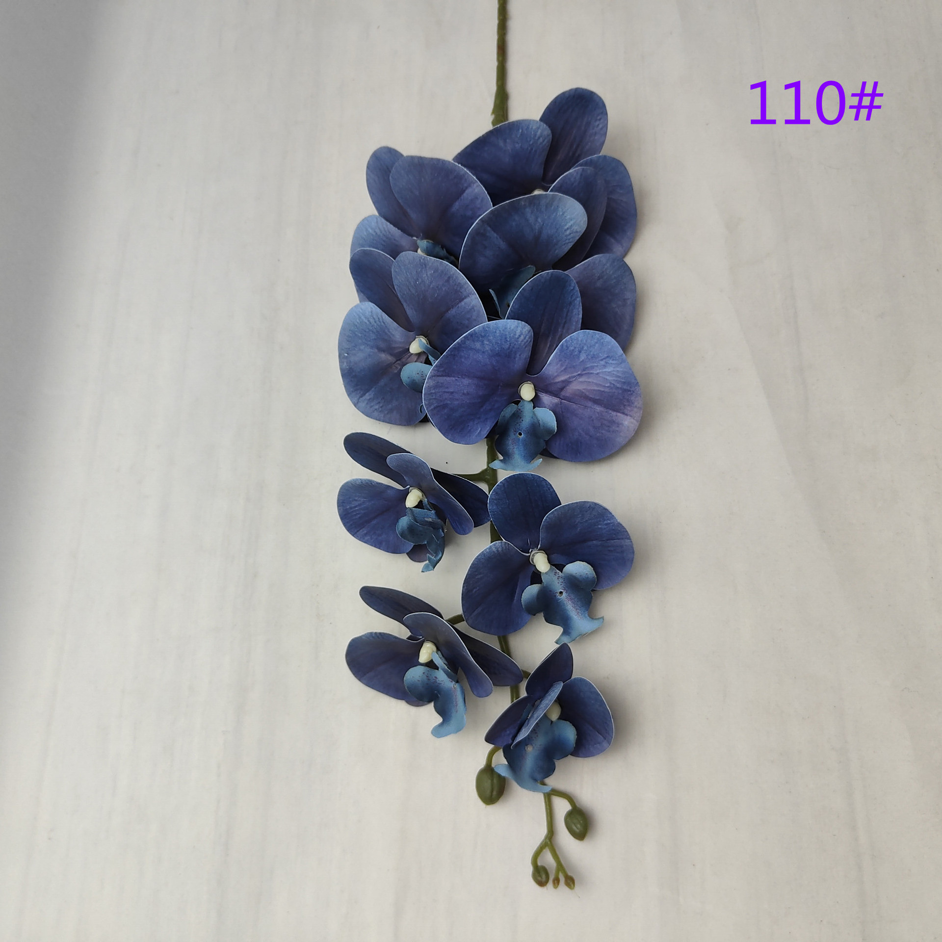 IMG20230509161906_副本