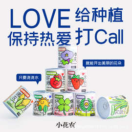 小花农趣味罐装植物凤仙花网红祝福小盆栽厂家批发趣味礼品