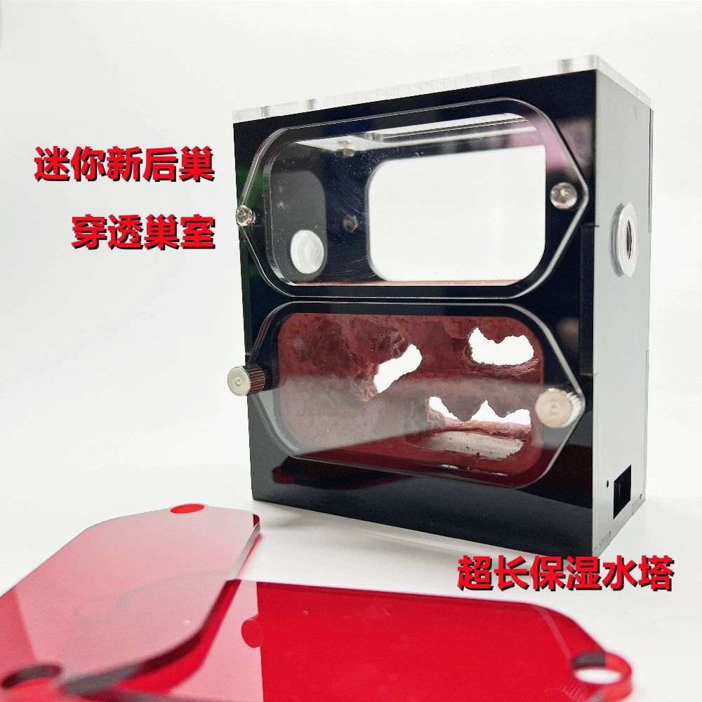 Муравейное гнездо музейное бетонное гнездо муравьи муравьи новое заднее гнездо мастерская замок песочное гнездо домашнее животное муравье гнездо акрил