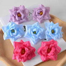 õ¼^diyֹYYƷbٻ