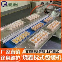 烧麦全包装机 冷冻食品馒头甘蔗毛巾过滤器自动枕式抽真空包装机