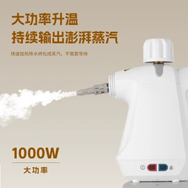 挂烫机;蒸汽清洁机;清洁球/刷