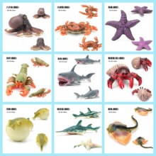 ���k��ͯ���溣�r��߿ɐ۳���̖���r�����з���zģ�Ϳ羳���l