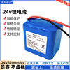 Electric spray, power supply, capacious lithium battery, 24v, high power, 24v