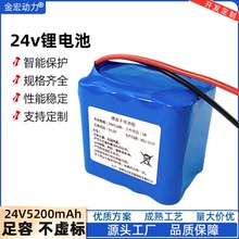 24v5200mah锂电池大功率电动喷雾器吸尘器24v大容量动力锂电池