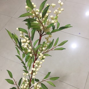 ����Ұ��õ �؃r�߷��滨 ��ĭ�^�z��  ���l�ٻ�
