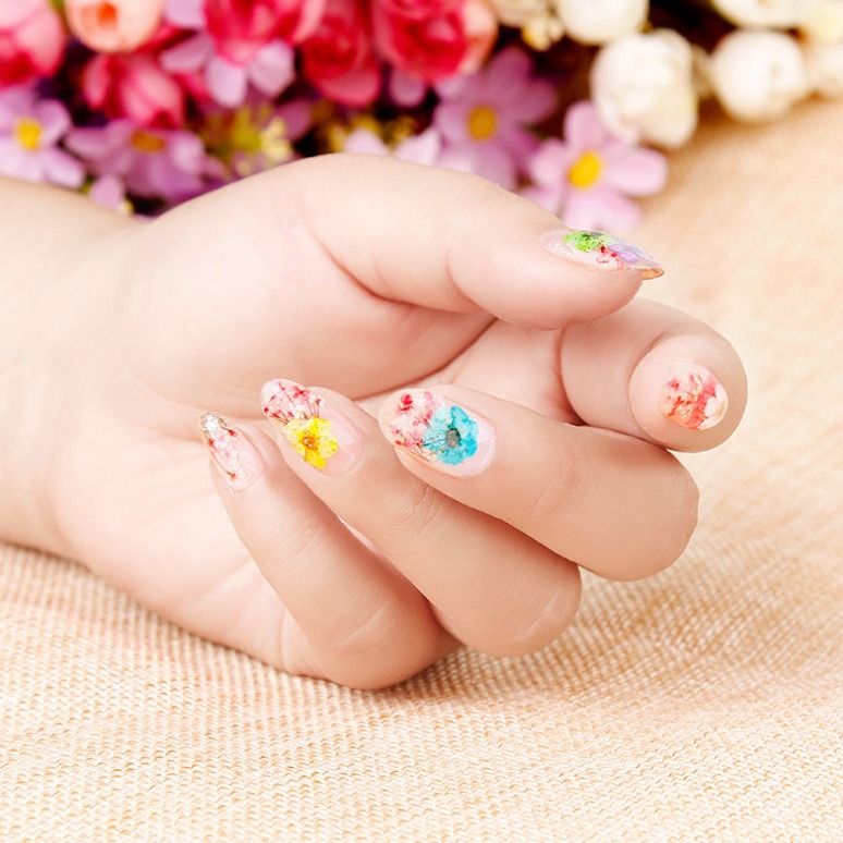 Nail 12 -color dried flowers nail box dry flower nail jewelry nail…