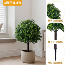 XT仿真绿植黄杨木园林修剪树亚马逊热卖跨境选品人造树带地钉绿植