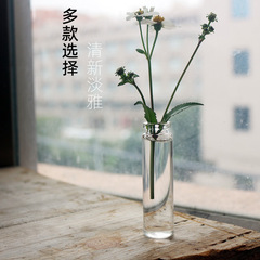 養多肉肉拇指瓶生石花特小花瓶窗戶裝飾玻璃瓶種桃蛋湯圓迷你花器