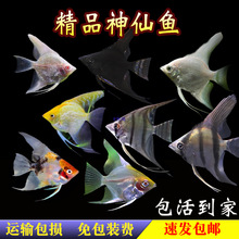 �~�߲���ʹ�~�������~��Ꭷ�^�p�~��؈�ʯ�ڰ׻��w�������