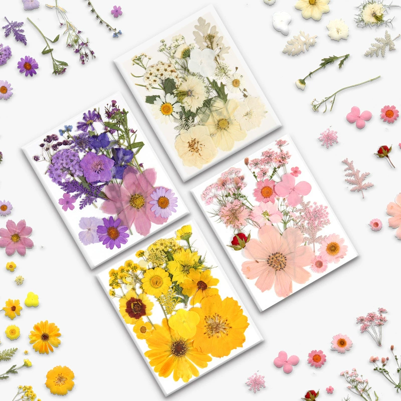 15 штук сушеный цветок озадаченный цветок образец растения комбинированная упаковка тисненая фоторамка гелевый капельный Чехол для мобильного телефона Nail Art украшение лица Cross Border