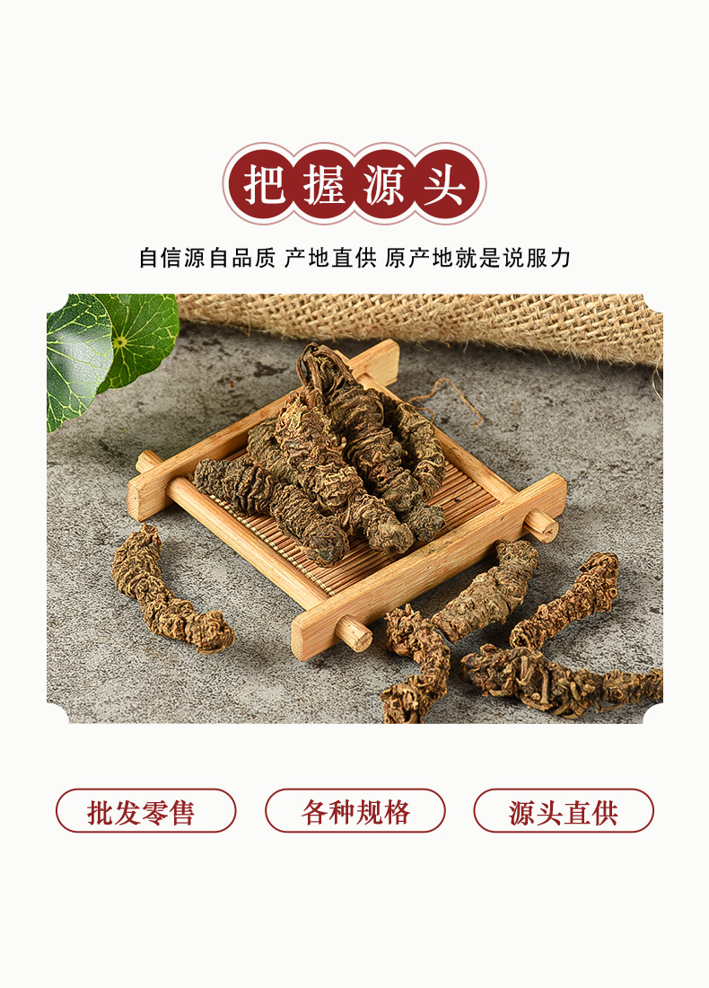 Valerian Root (Valeriana officinalis) — Dried Bulk Herb, Guang Valerian Rhizome quality and texture