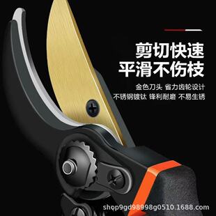 sk5�޼�֦������ӻ�ˇ��֦�@��ժˮ����ľ��֦����֦�l��ľ����