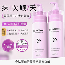 FLOWERWAY���ĵ��׌�Ĥ���o˪�����o�l����ë�����B���o�lĤ���l