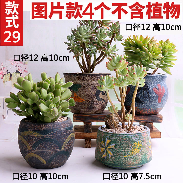 29호 지중해 4종세트