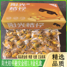 ꖹ���жY�ЏV����Ƥ������r���������ˮ���o���ڰ��w�w�����b