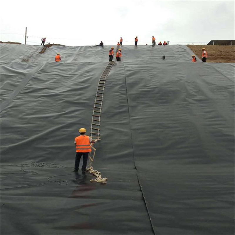 供应环保水产养殖土工膜海水HDPE黑膜虾池0.5㎜防渗膜