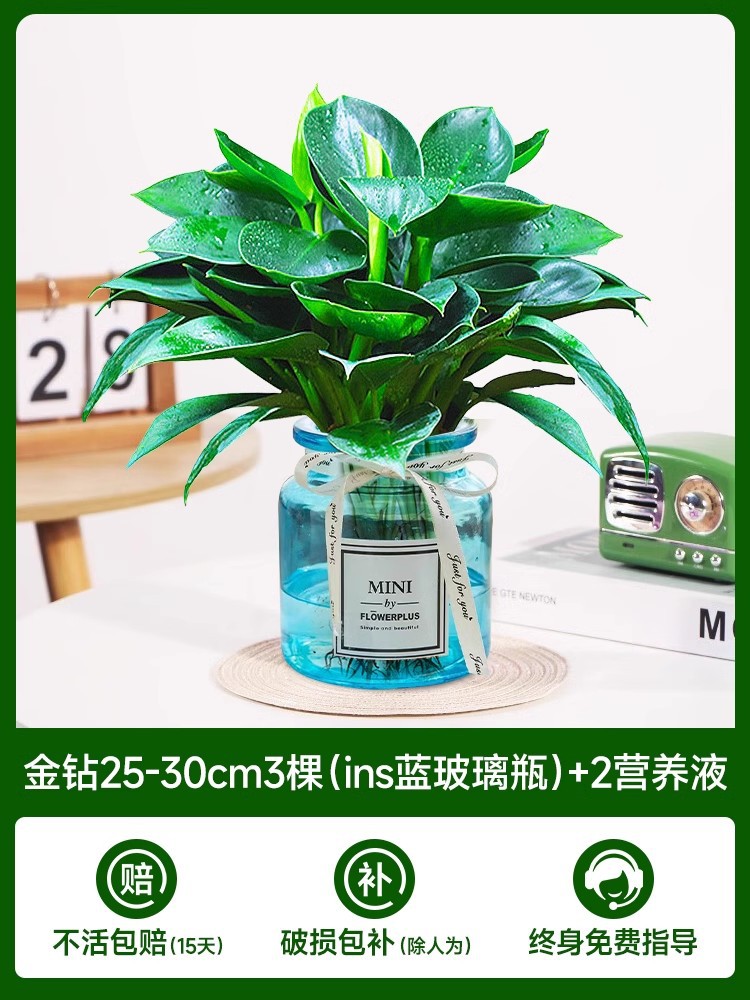 골든 다이아몬드 3개(파란색 유리병) + 크리스탈 머드 + 영양액 2개