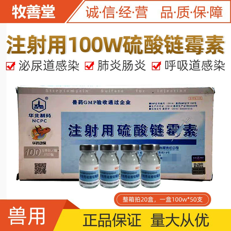 [Стрептомицин сульфат порошок для инъекций для ветеринарного применения] Блок 100 Вт X50 Лихорадка свиней, крупного рогатого скота и овец Противовоспалительное оптом