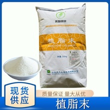 植脂末 食品级奶精粉  压片糖果专用 现货供应 量大从优