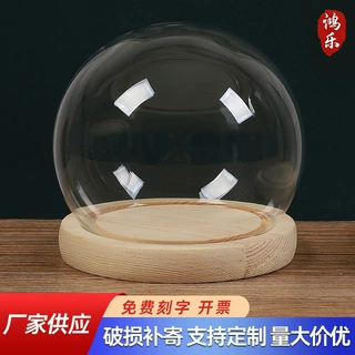 球形永生花干花玻璃罩展示盒防尘罩手办手模圆球形玻璃罩子手工