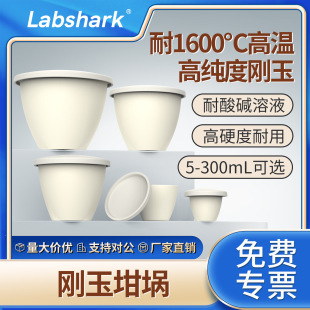 Labshark������厧�w�A���Ό���������X����͸ߜ��R�M�t�����