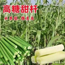 ������U�N���J��������U�Ѹ���N��ˮ���������ļ��r�Ҹ���N��