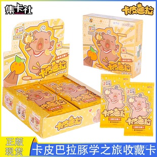 ���濨Ƥ������Ƭ���W֮�ú��A���ղؿ�һ����ä�п�����߇���