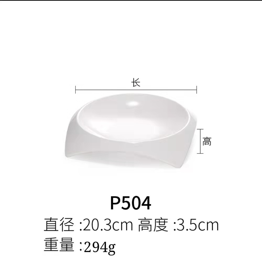 P504