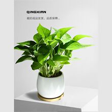 G}҃ȃ՚GֲꎺB⻨kҷݗֲ