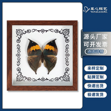 ������˱����F���߼��b��Ҿ��b�DIY���c��Ʒ�Y���YƷ