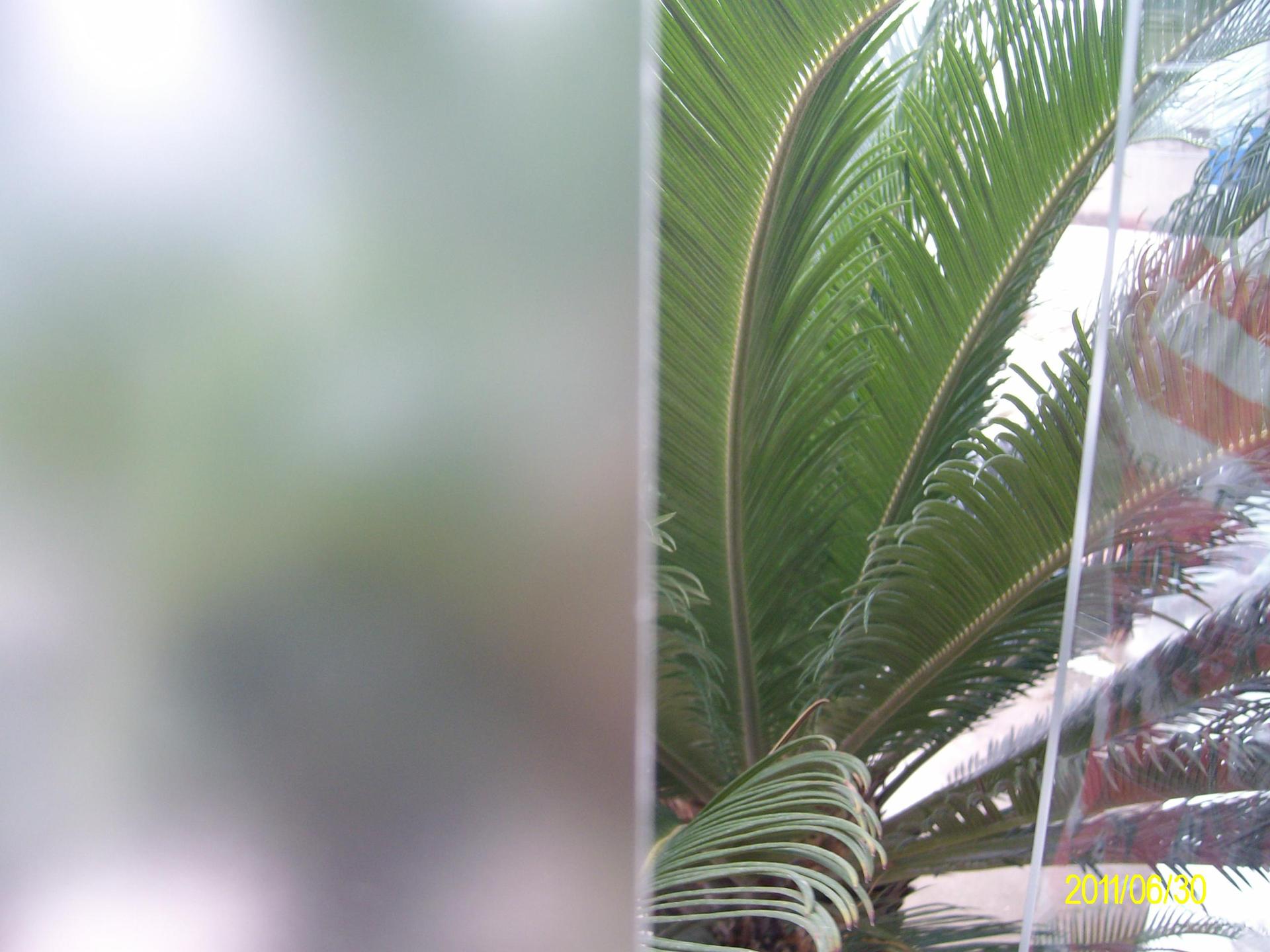 2mm2米1pet板厚度颜色尺寸表面亚光/磨砂/颗粒/光面定做