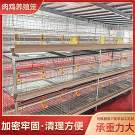 粪盘肉鸡笼养殖场养鸡立体笼立式四层2门养殖笼畜牧农用养殖鸡笼