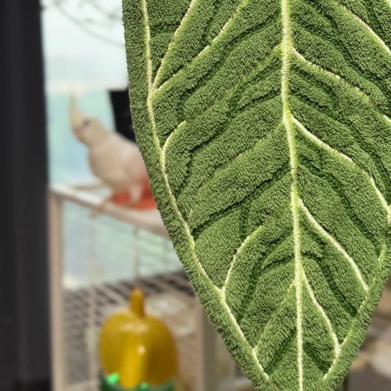 热植物毛巾花烛叶子擦手巾挂式厨房卫生间浴室毛巾抹布吸水手帕|undefined