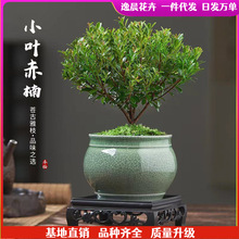 �ļ�������B��С�~����辰ֲ���҃ȃ����՚�����ȩ����Gֲ����