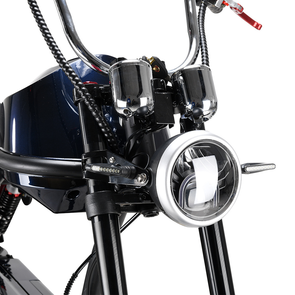 Eec Small and Large Harley Electric Vehicles, Electric Scooters, Delivery Electric Motorcycles, Harley Bikes, Electric Scooters