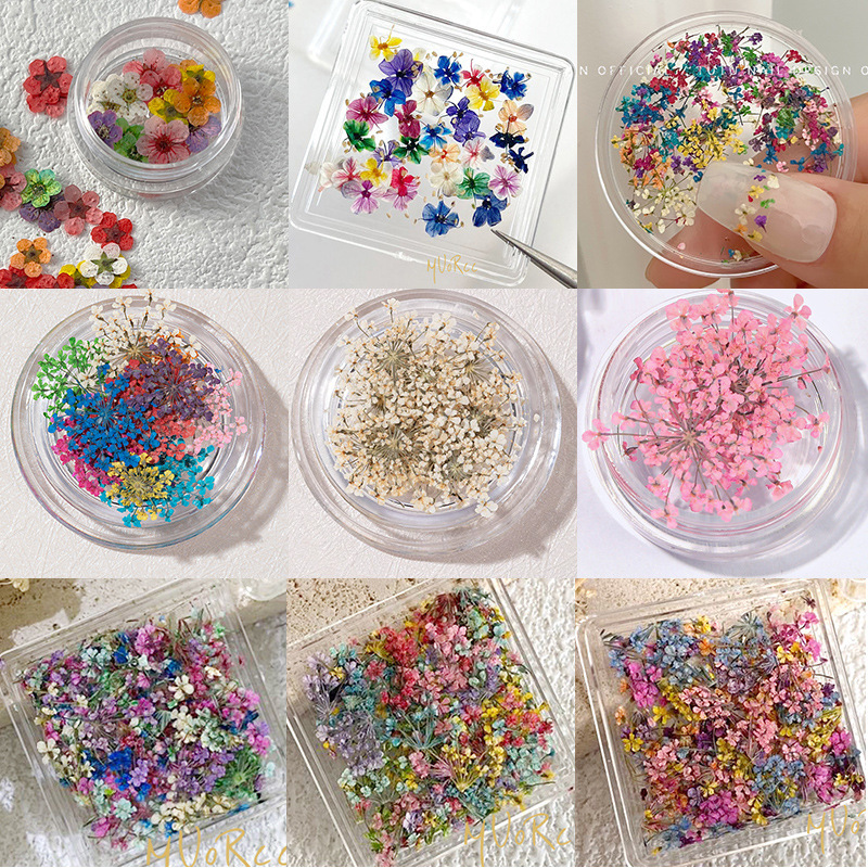 Dried Flower Nail Art Jewelry Color Flower Mixed Lace Small Floral Nail Decoration Wear Armor Material Bag Supplies