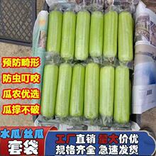 〔瓜农推荐〕丝瓜袋水瓜套袋PP透明瓜套防虫袋两头通包装袋塑料袋