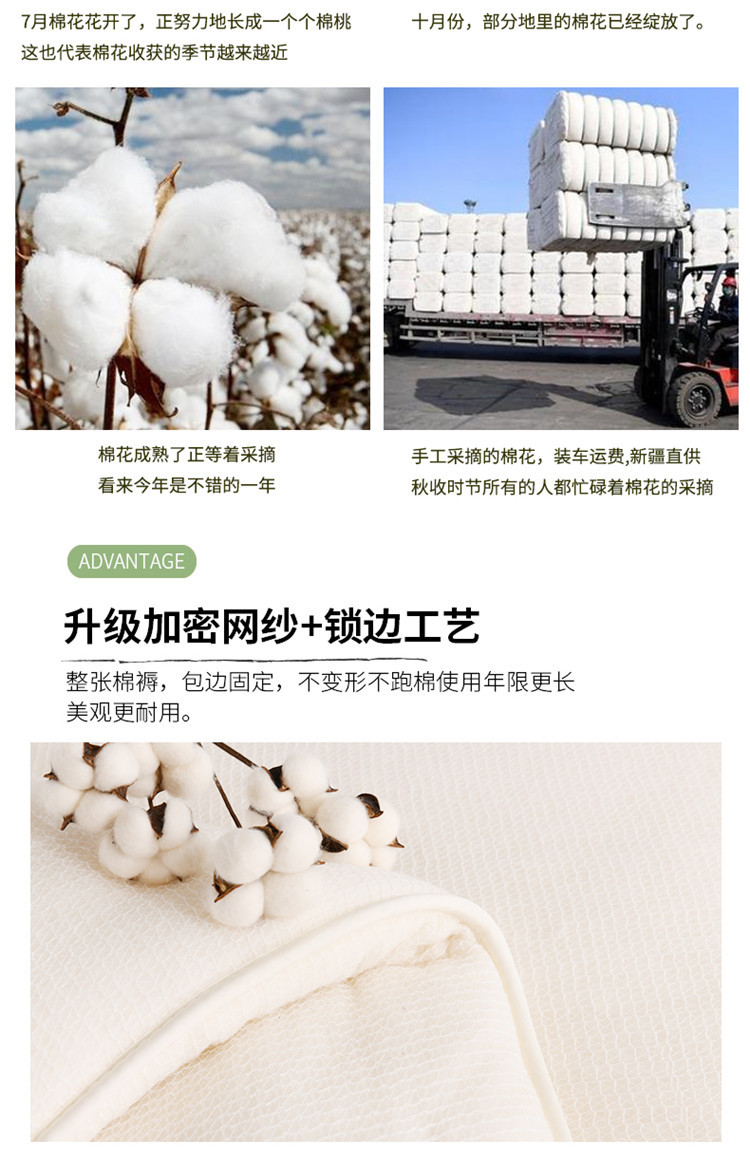 1新详情页_03.jpg