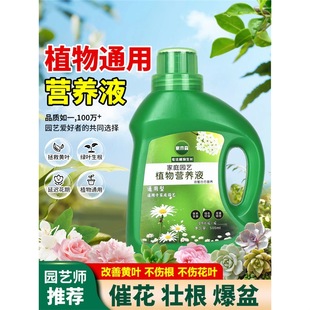 ֲ��I�BҺͨ���;Gֲ���԰lؔ��G�}ˮ������B���ܻ���Һ�w����