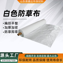 白色防草布透水透气白色pp/pe大棚果园除草抑草农用园艺地布工厂