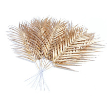 �羳����ֲ���ؙ��~ ��֧��ɫɢβ���~Ƭ��c�Ҿ��Ɍ������b�