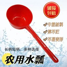 塑料长柄短柄水瓢加厚耐摔耐用家用农业淋菜浇花厕所舀水勺无异味