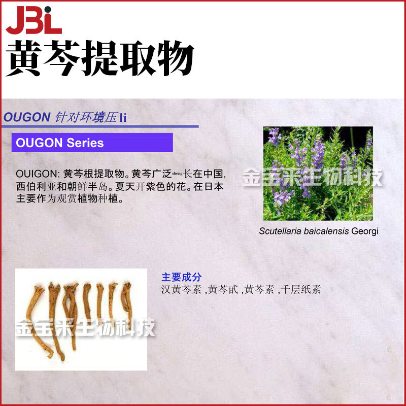 黄芩提取物 黄芩苷 黄芩甙 汉黄芩素 护肤 化妆品原料 1kg