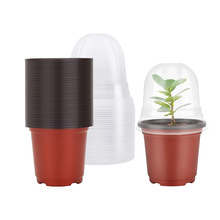 育苗盆适用于带湿度圆顶的植物种植塑料苗圃带排水孔育苗盆