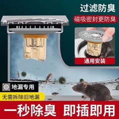 地漏防臭器衛生間下水道防返味除臭神器廁所防蟲管硅膠蓋內芯通用