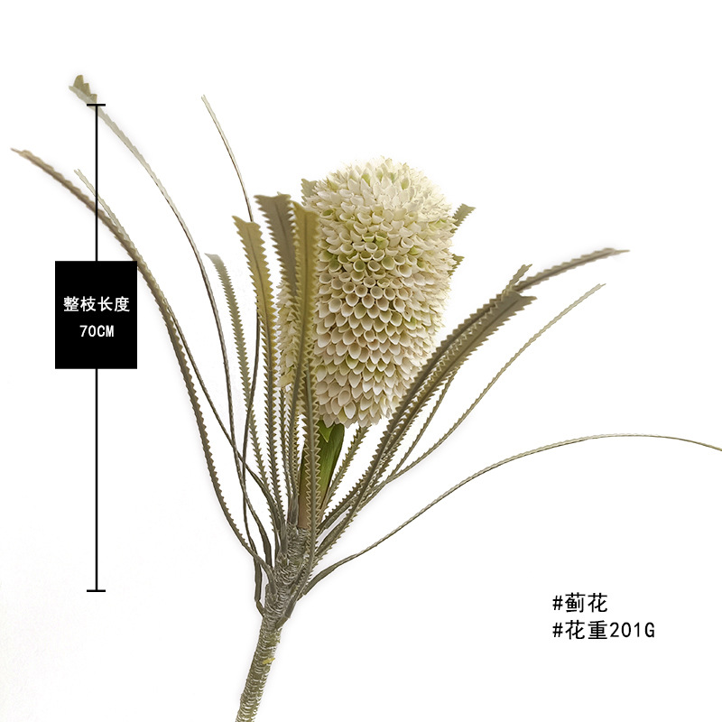 하얀색